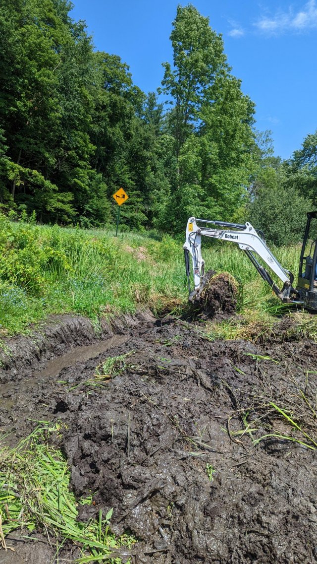 site clearing 